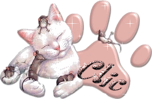 CHAT